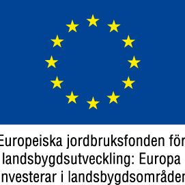 EU-flagga hemsida